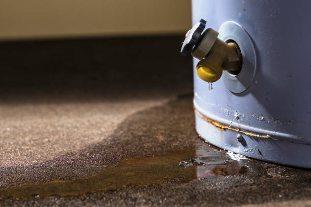 Best Ceiling water damage repair  in Farmington, PA
