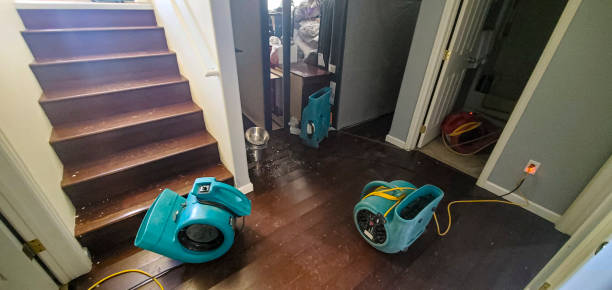 Best Flood damage cleanup  in Farmington, PA