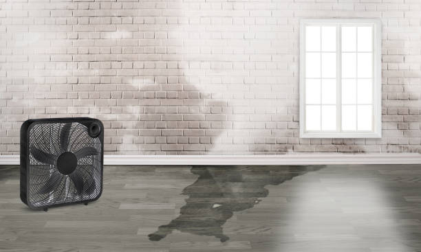 Best Commercial water damage restoration  in Farmington, PA