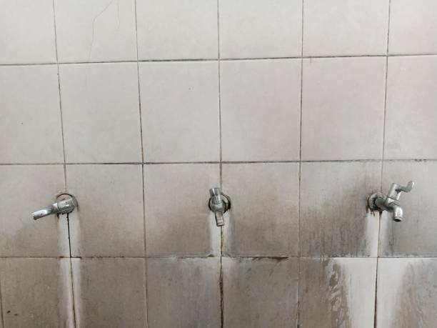 Best Basement water damage restoration  in Farmington, PA