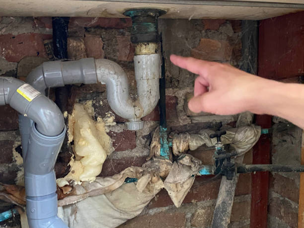 Best Basement water damage restoration  in Farmington, PA