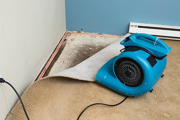 Best Flooded house restoration  in Farmington, PA