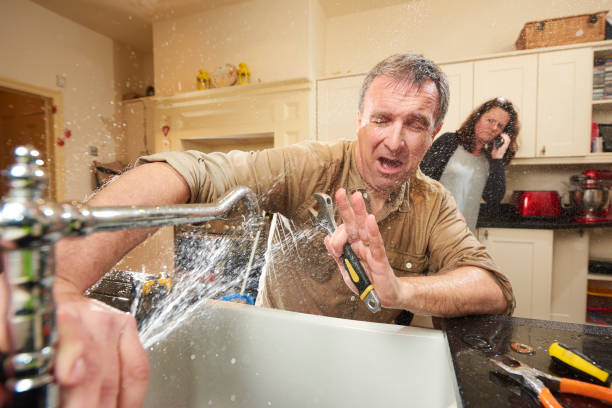 Best Water damage cleanup near me  in Farmington, PA